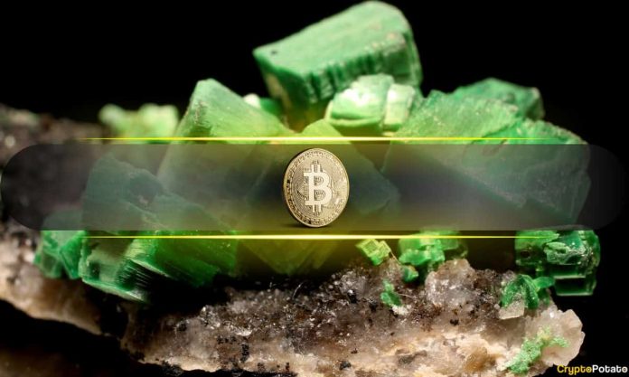 Bitcoin Addresses That Only Buy and Never Sell Just Hit Record Levels